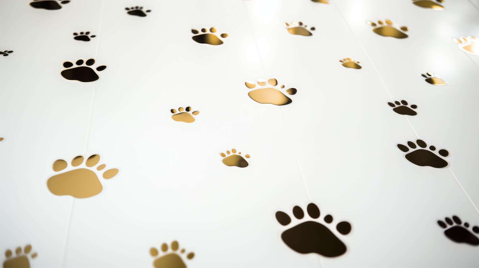 AVMA Information Booth Example by Viper Tradeshow Services